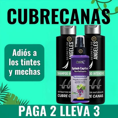 Shampoo Cubre Canas Secreto de Ángeles➕splash capilar